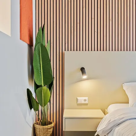 Vibrant Coliving With Comfort And Convenience Luxemburg